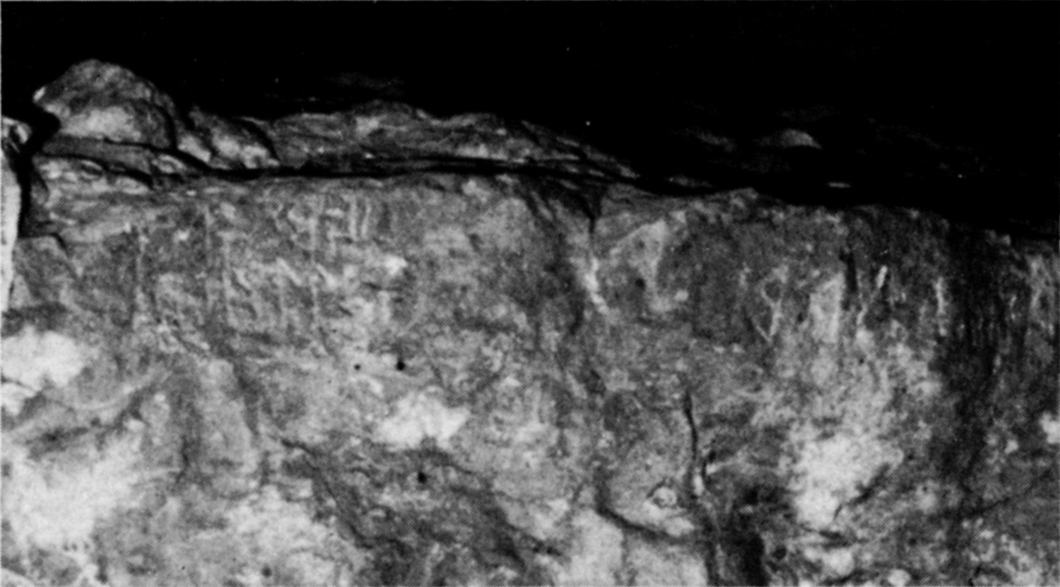 Schmidt et al. 1982: pl. 126 a Image free from copyright