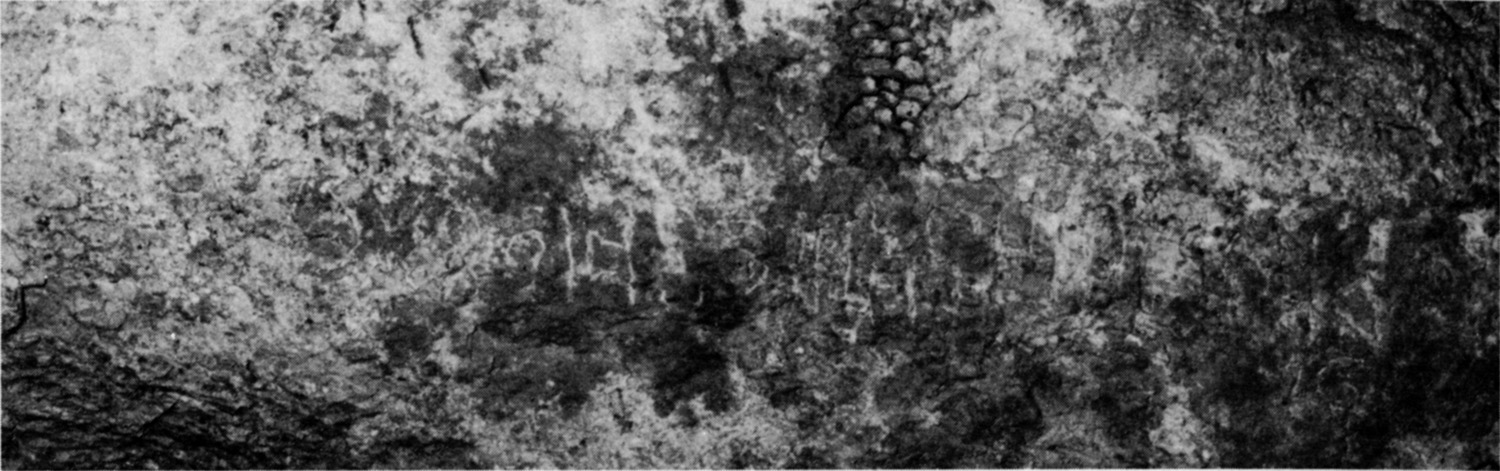Schmidt et al. 1982: pl. 126 b Image free from copyright