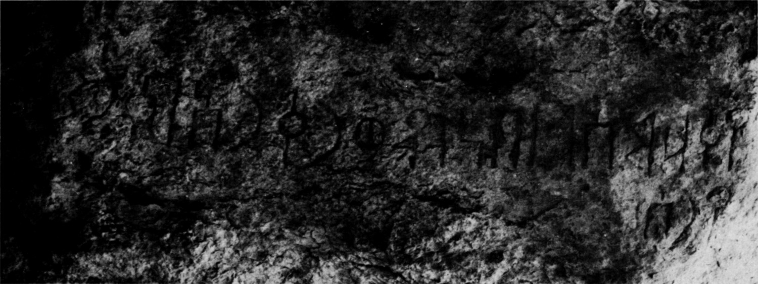 Schmidt et al. 1982: pl. 126 c Image free from copyright
