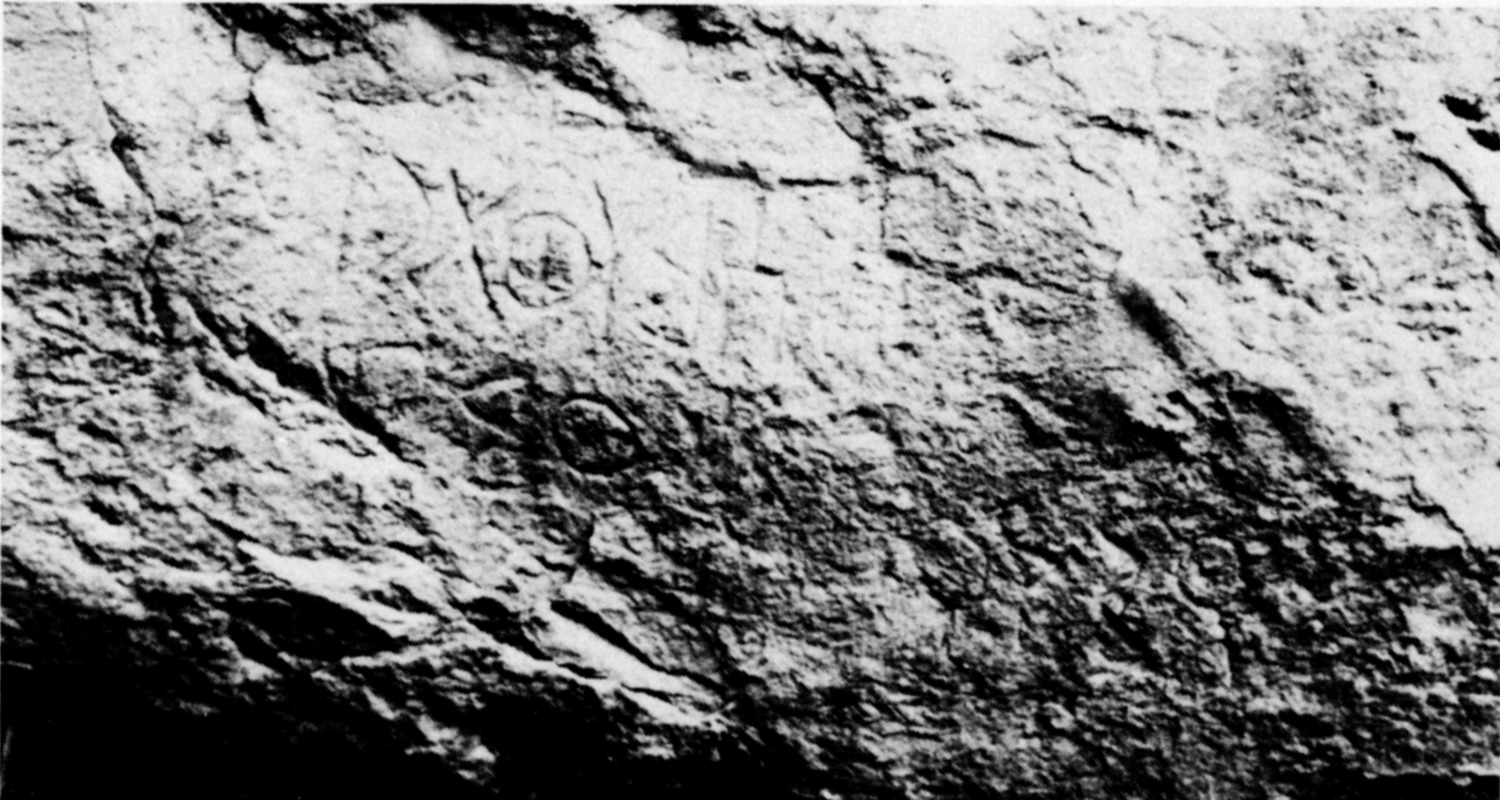 Schmidt et al. 1982: pl. 127 a Image free from copyright