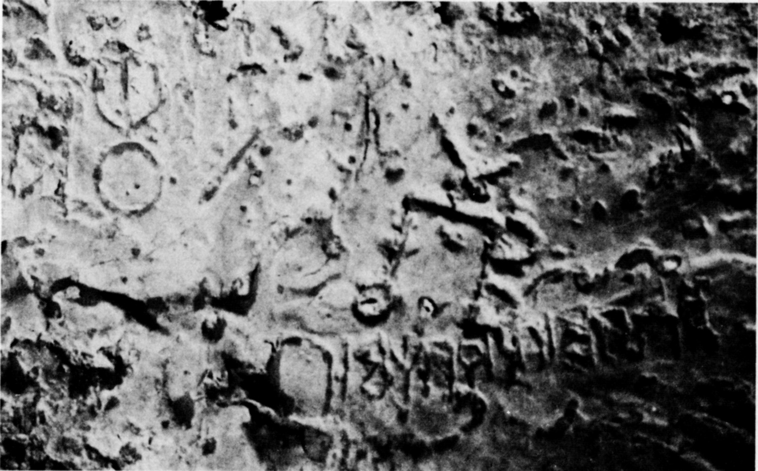 Schmidt et al. 1982: pl. 127/c Image free from copyright