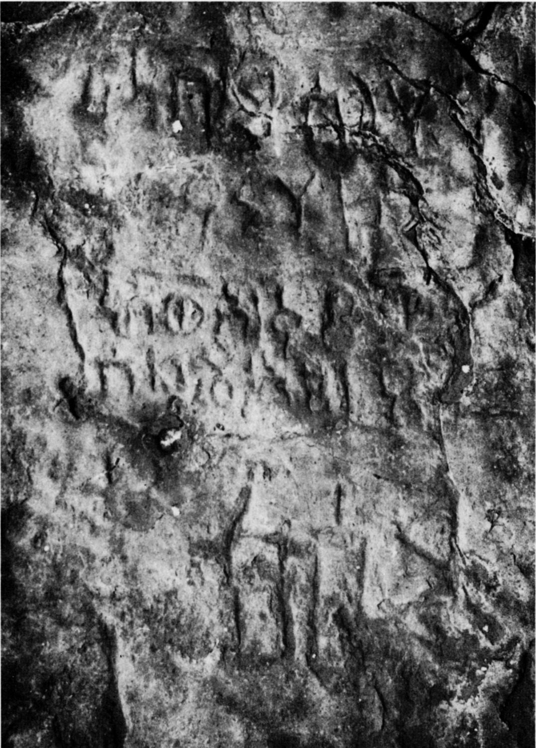 Schmidt et al. 1982: pl. 128/d Image free from copyright