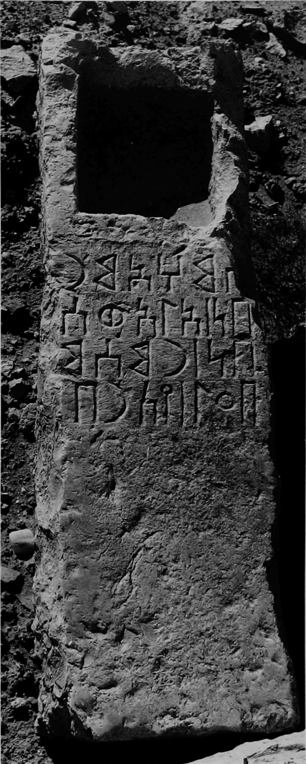 Schmidt et al. 1986: pl. 15/c Image free from copyright