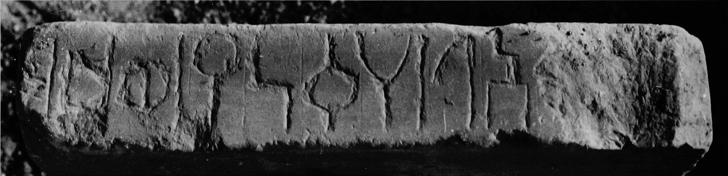 Müller, Walter W. 1988 d: pl. 35/c Image free from copyright