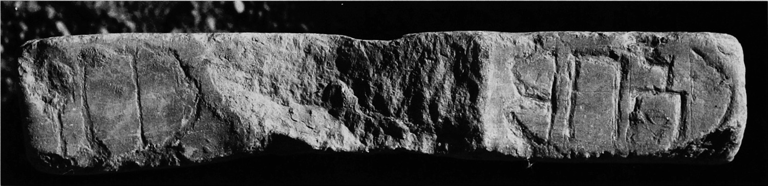 Müller, Walter W. 1988 d: pl. 35/d Image free from copyright