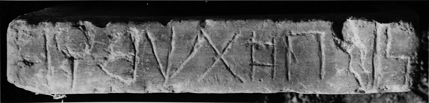 Müller, Walter W. 1988 d: pl. 35/e Image free from copyright
