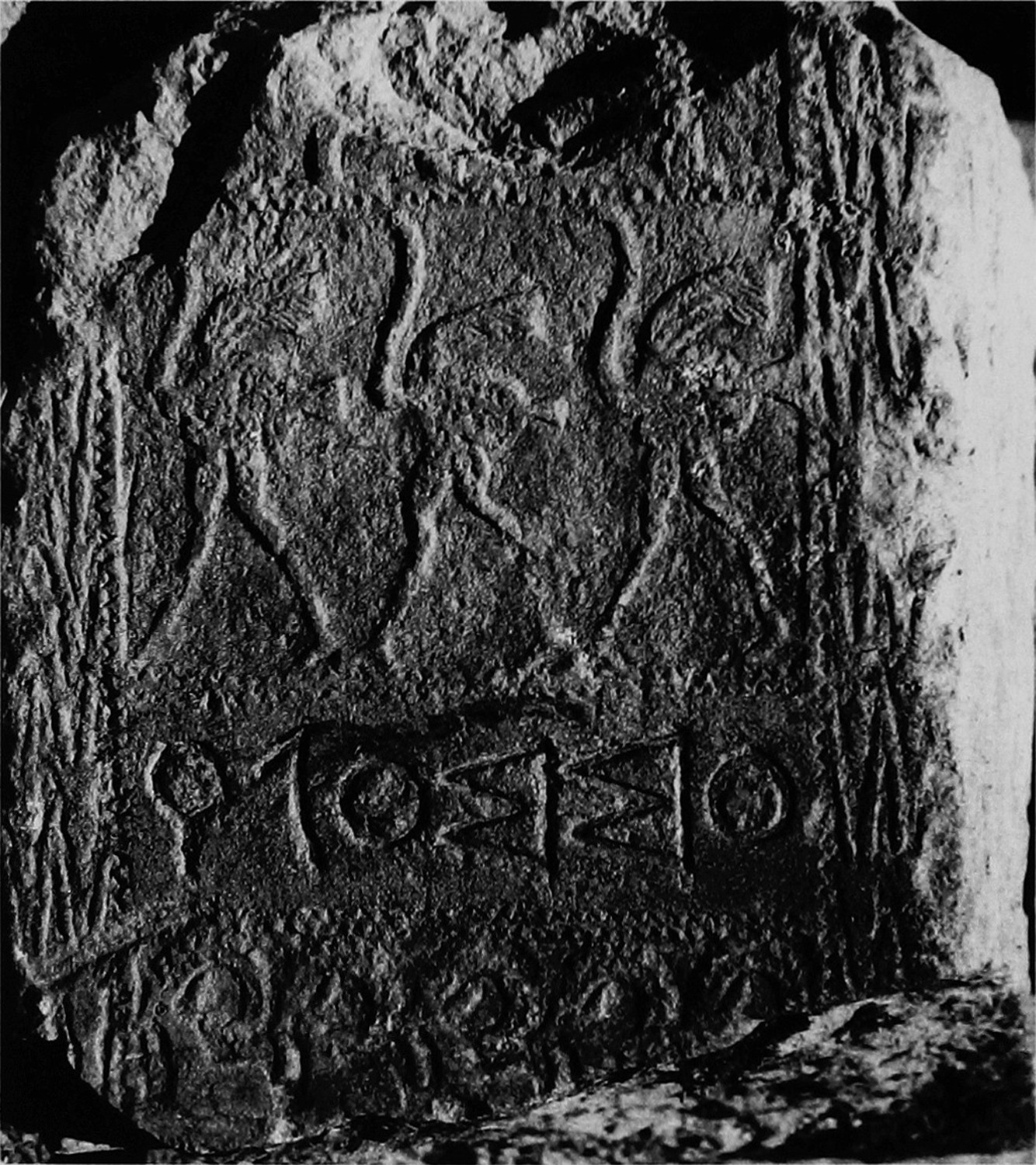 Schmidt et al. 1987: pl. 9/c Image free from copyright