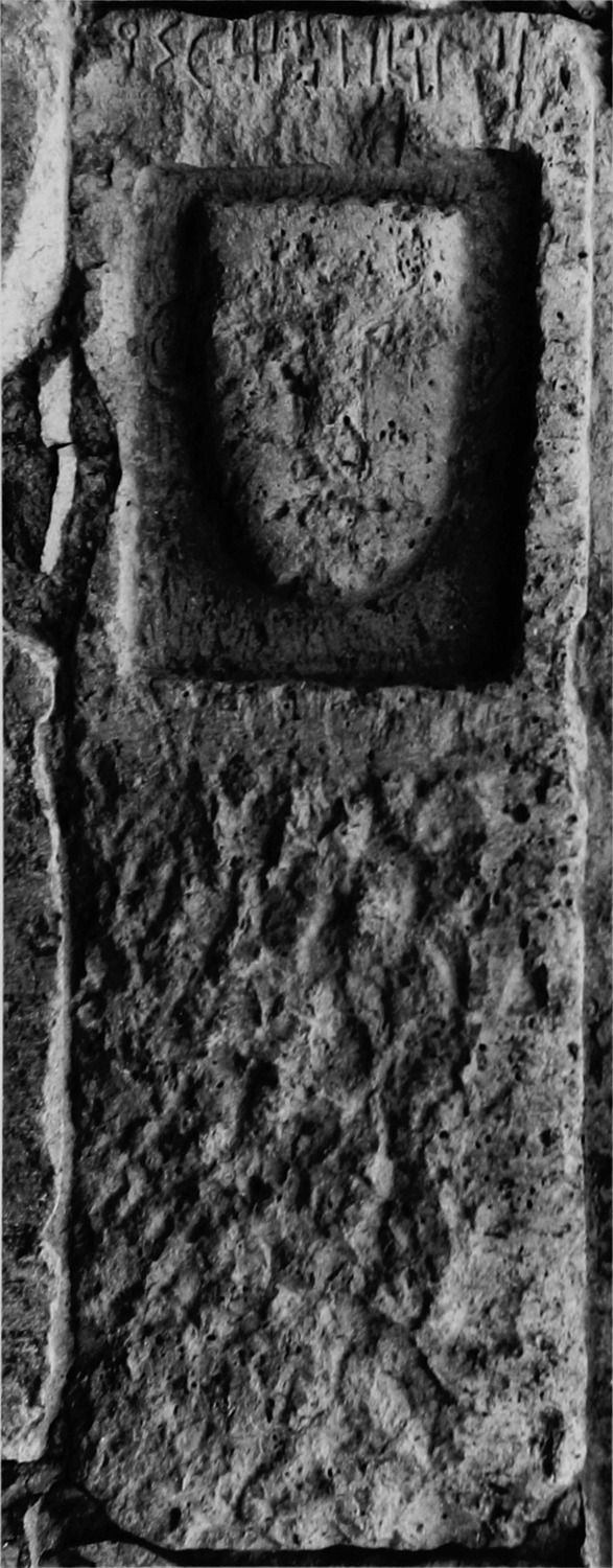 Schmidt et al. 1987: pl. 12/b Image free from copyright