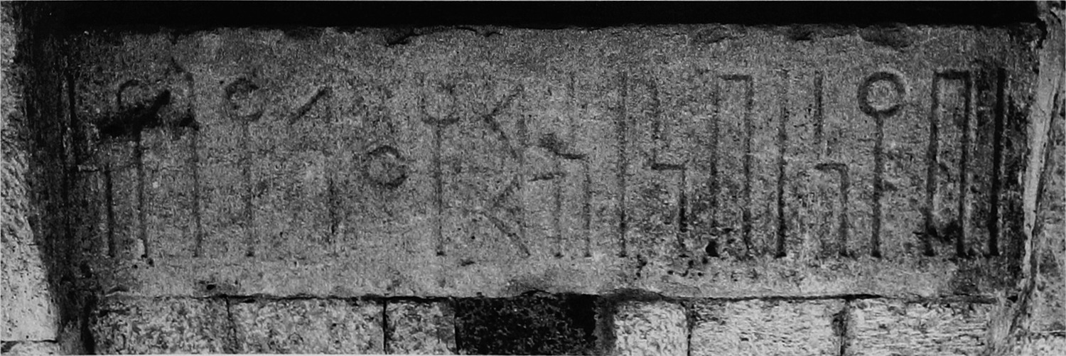 Schmidt et al. 1987: pl. 13/e Image free from copyright