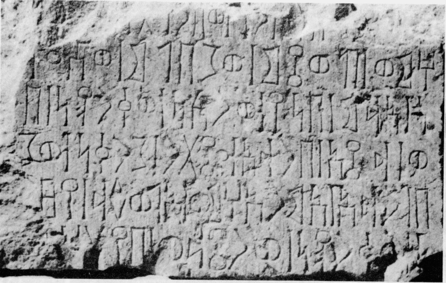 Bauer and Lundin 1998: 189, fig. 64 b Image free from copyright