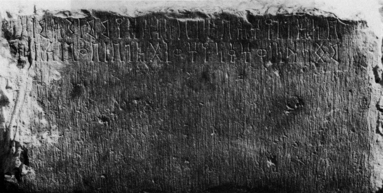Bauer and Lundin 1998: 191, fig. 70 Image free from copyright