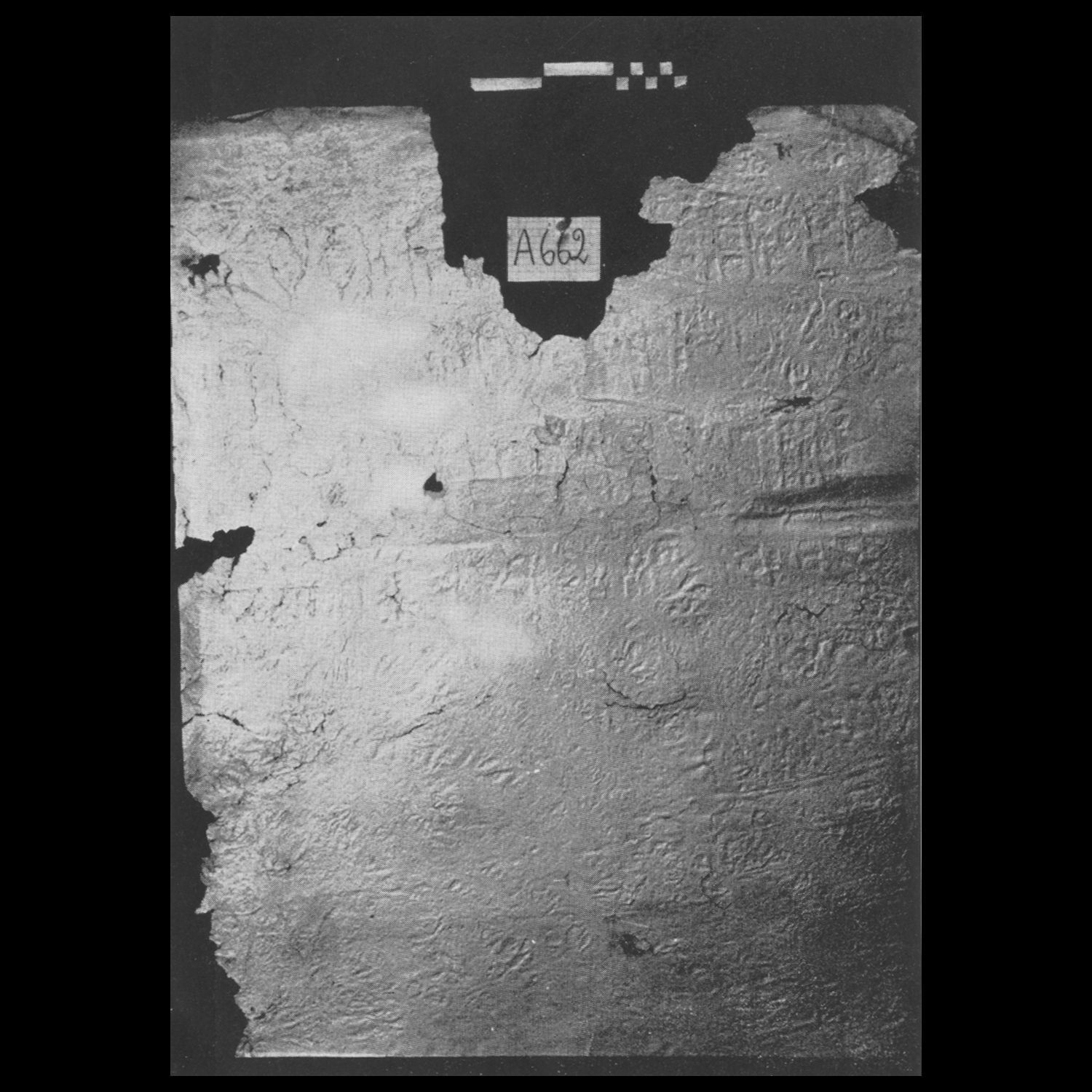 Lundin 1965: pl. XIII/1 Image free from copyright