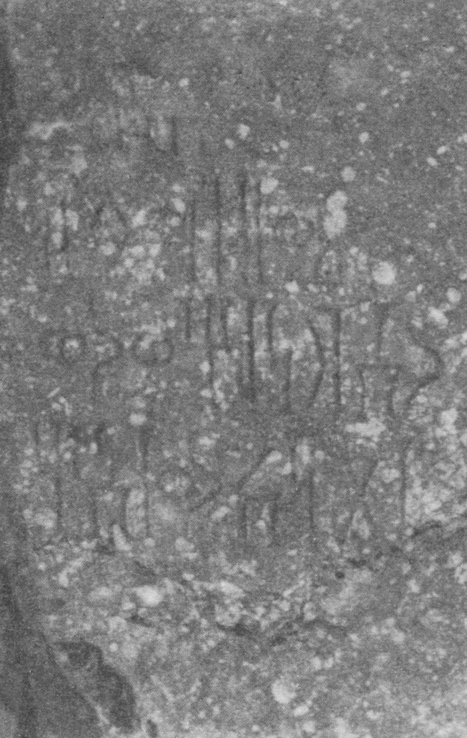 Bauer and Lundin 1998: photo 108 Image free from copyright