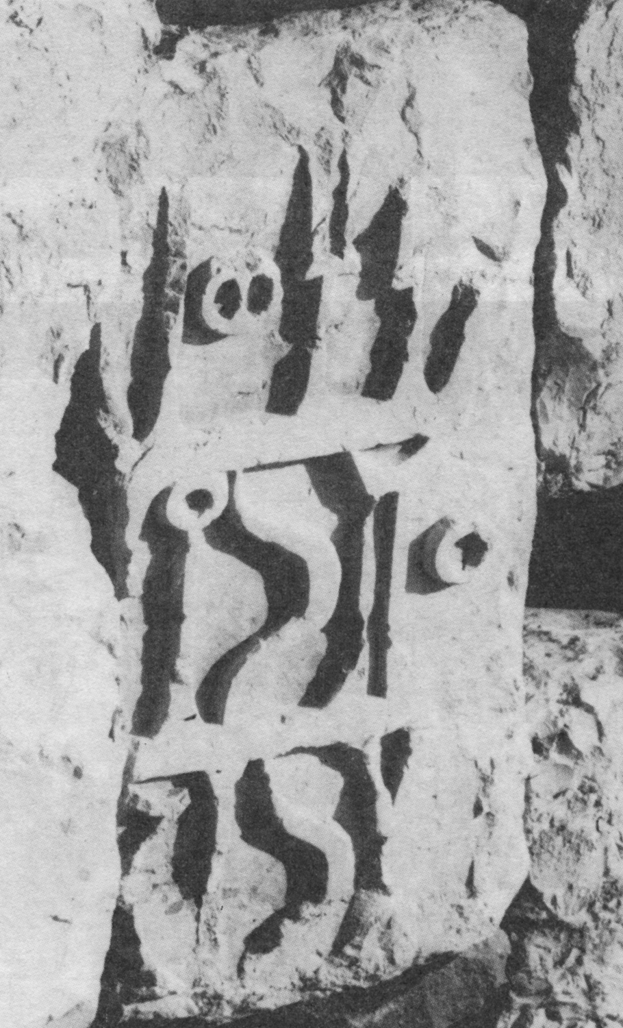 Bauer and Lundin 1998: photo 118 Image free from copyright
