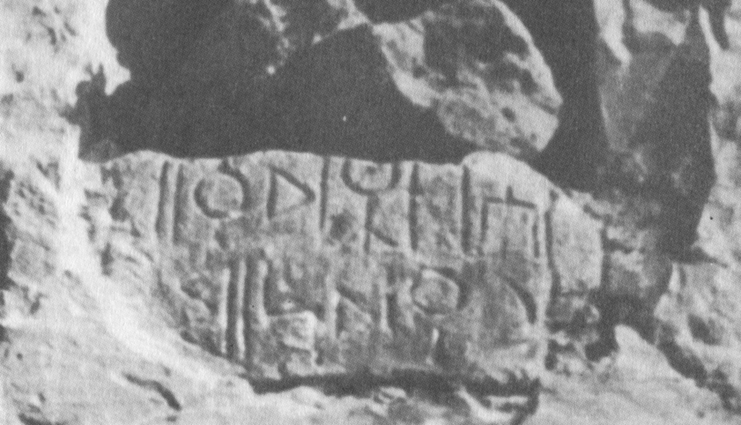 Bauer and Lundin 1998: photo 124 Image free from copyright