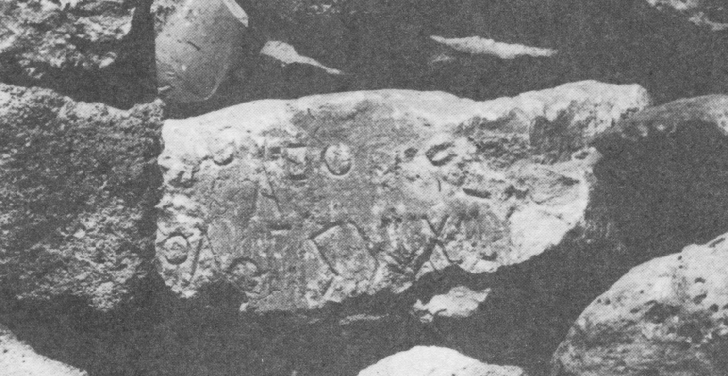 Bauer and Lundin 1998: photo 125 a Image free from copyright