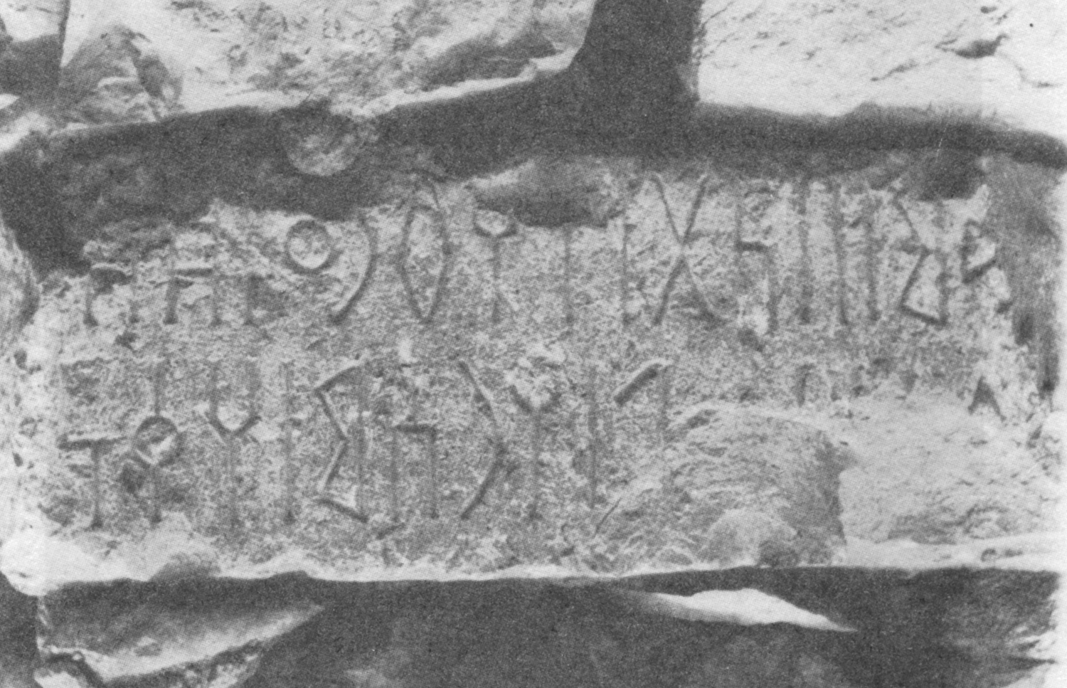 Bauer and Lundin 1998: photo 129 Image free from copyright