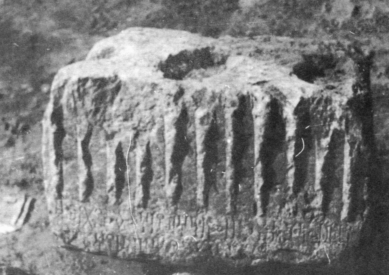 Bauer and Lundin 1998: photo 132 a Image free from copyright