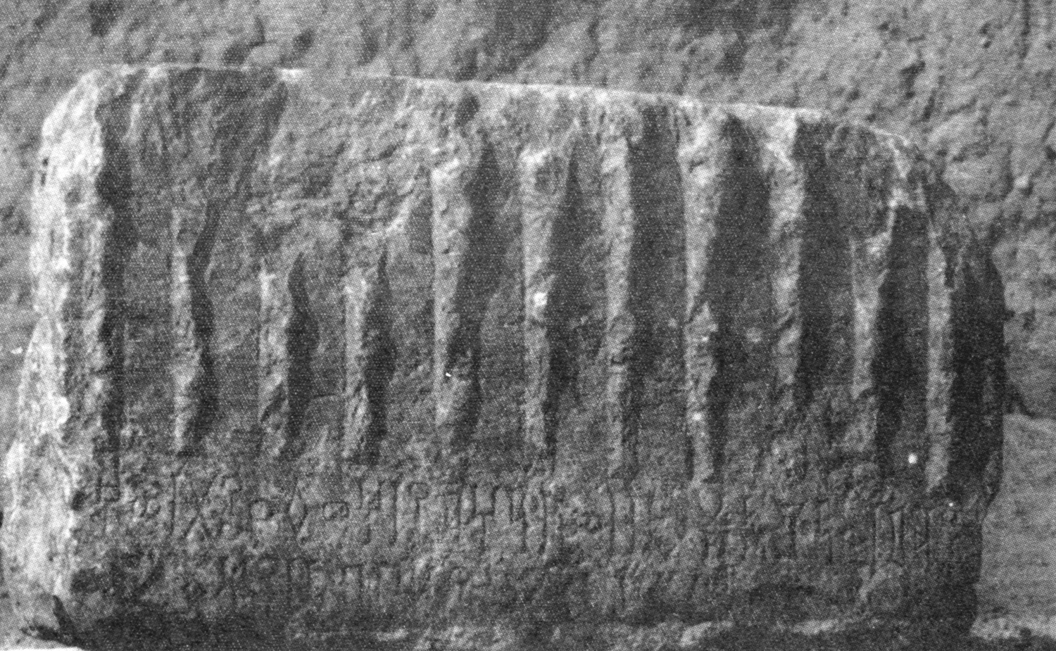 Bauer and Lundin 1998: photo 132 b Image free from copyright