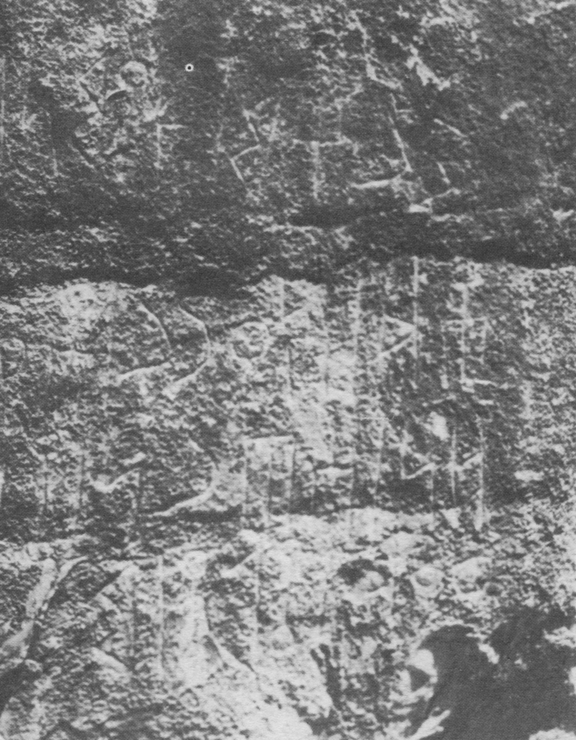 Bauer and Lundin 1998: 145/a Image free from copyright
