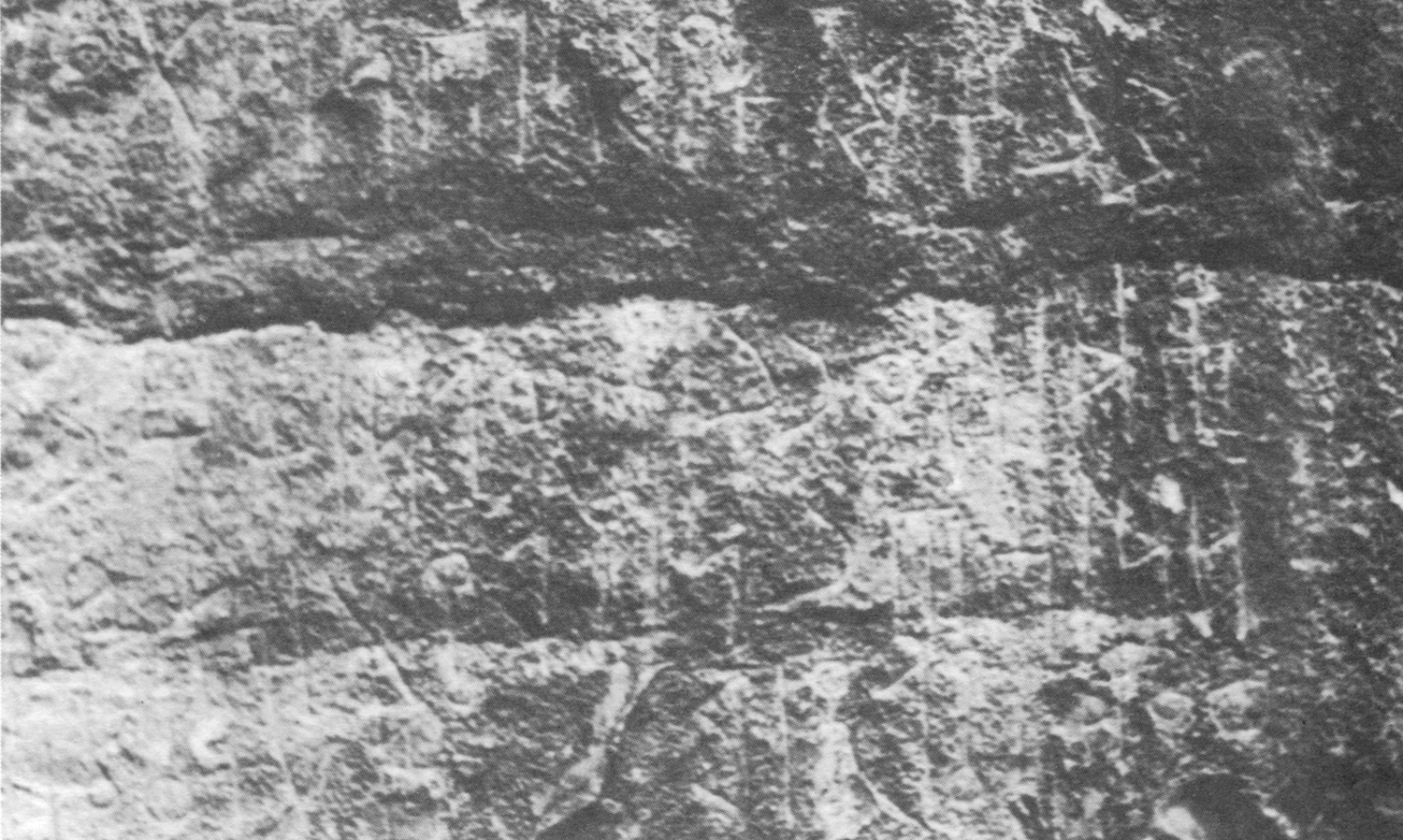 Bauer and Lundin 1998: photo 145 b Image free from copyright