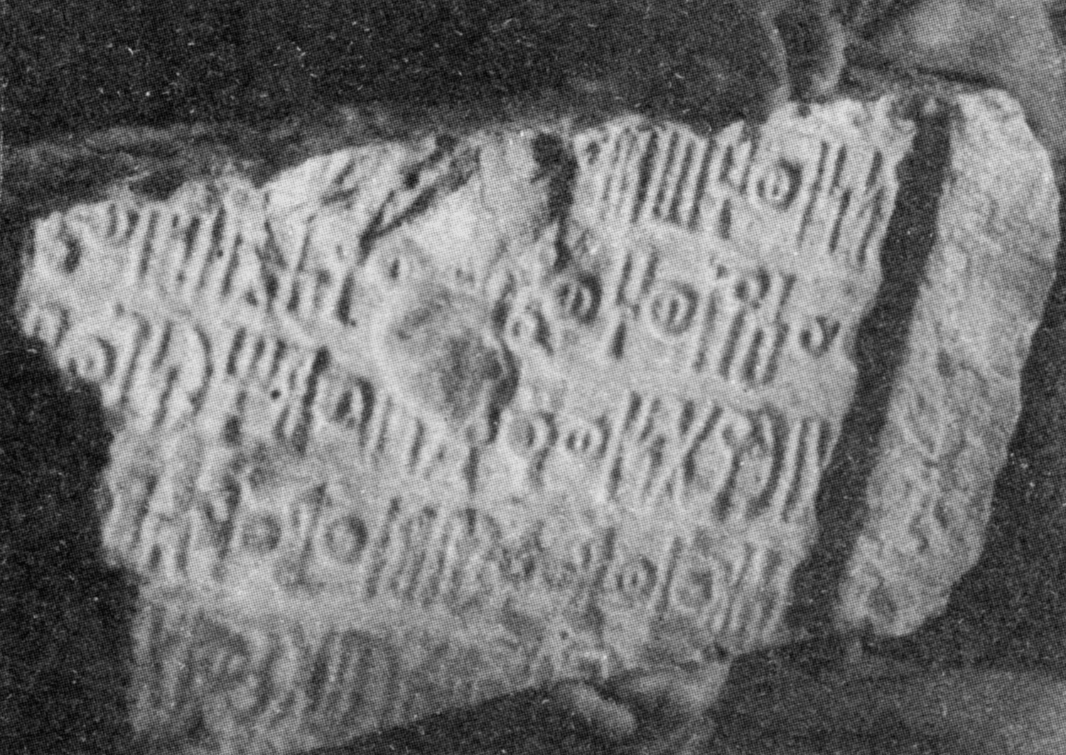Bauer and Lundin 1998: photo 190 a Image free from copyright