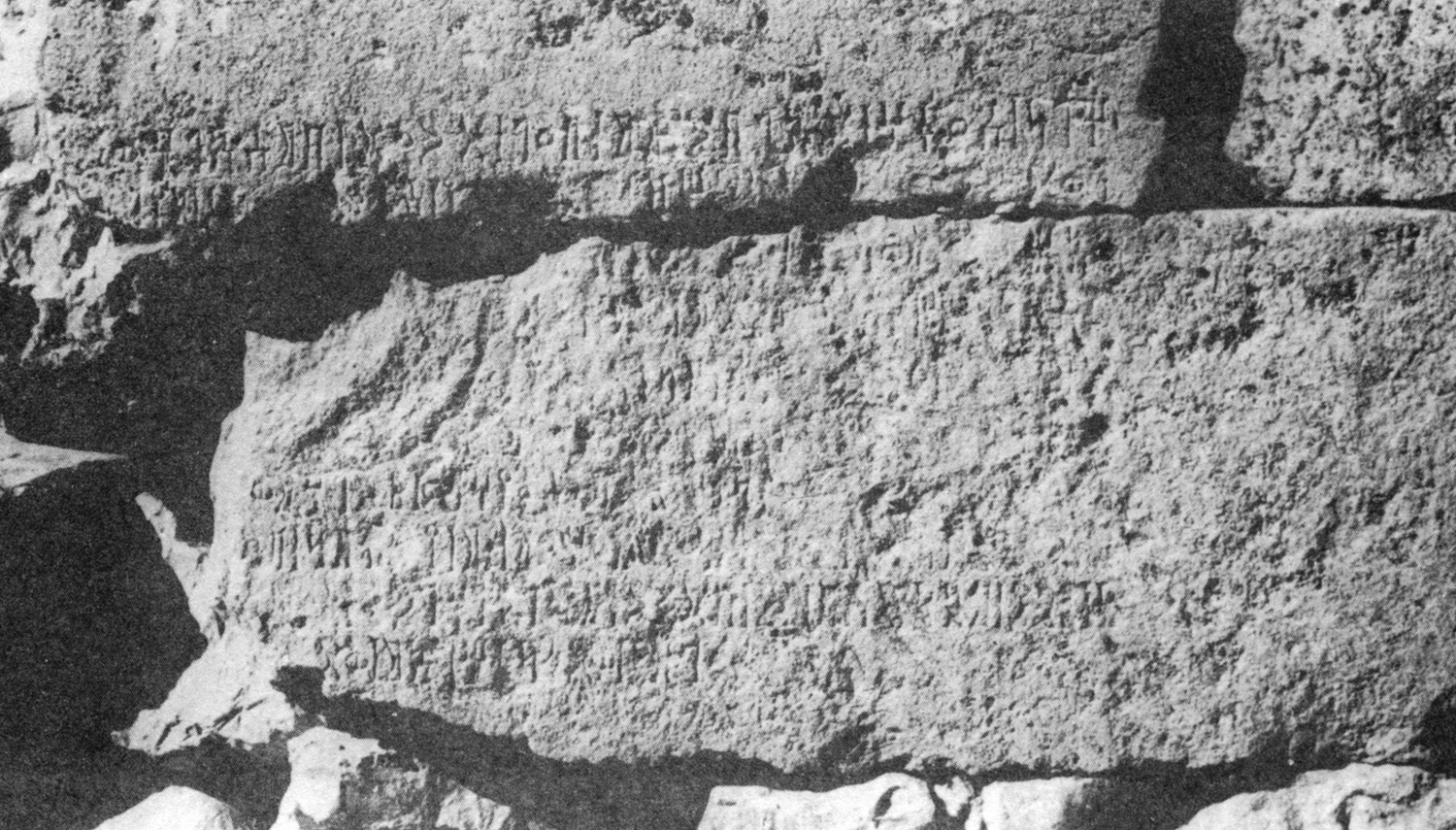 Bauer and Lundin 1998: photo 195 b Image free from copyright