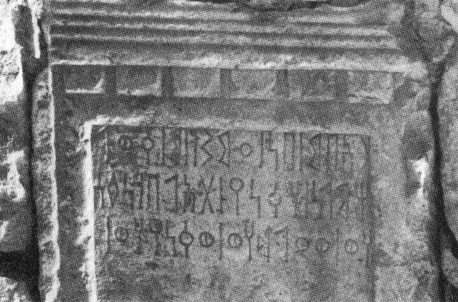 Bauer and Lundin 1998: photo 199 b Image free from copyright