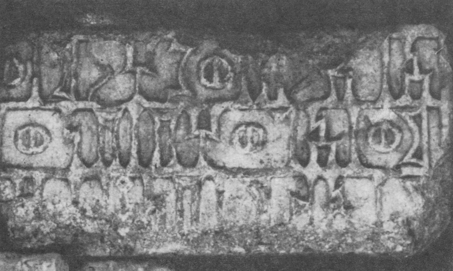 Bauer and Lundin 1998: photo 126 Image free from copyright