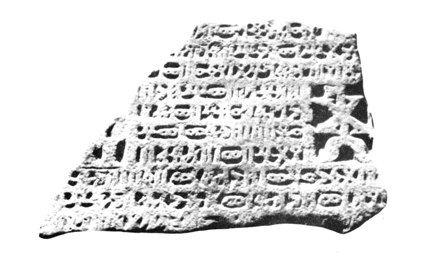 Garbini 1973 d: pl. 2/a Image free from copyright