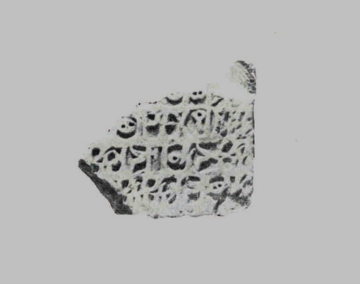 Garbini 1973 d: pl. 2/b Image free from copyright