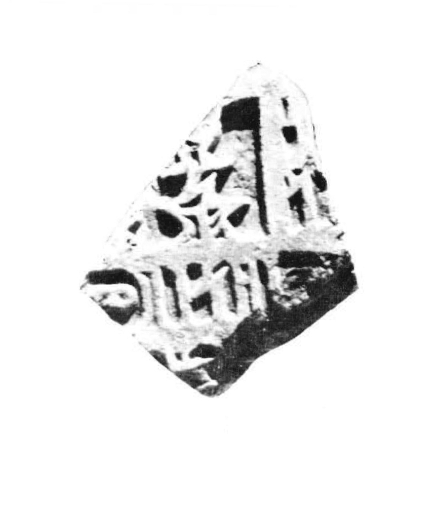 Garbini 1973 d: pl. 3/b Image free from copyright