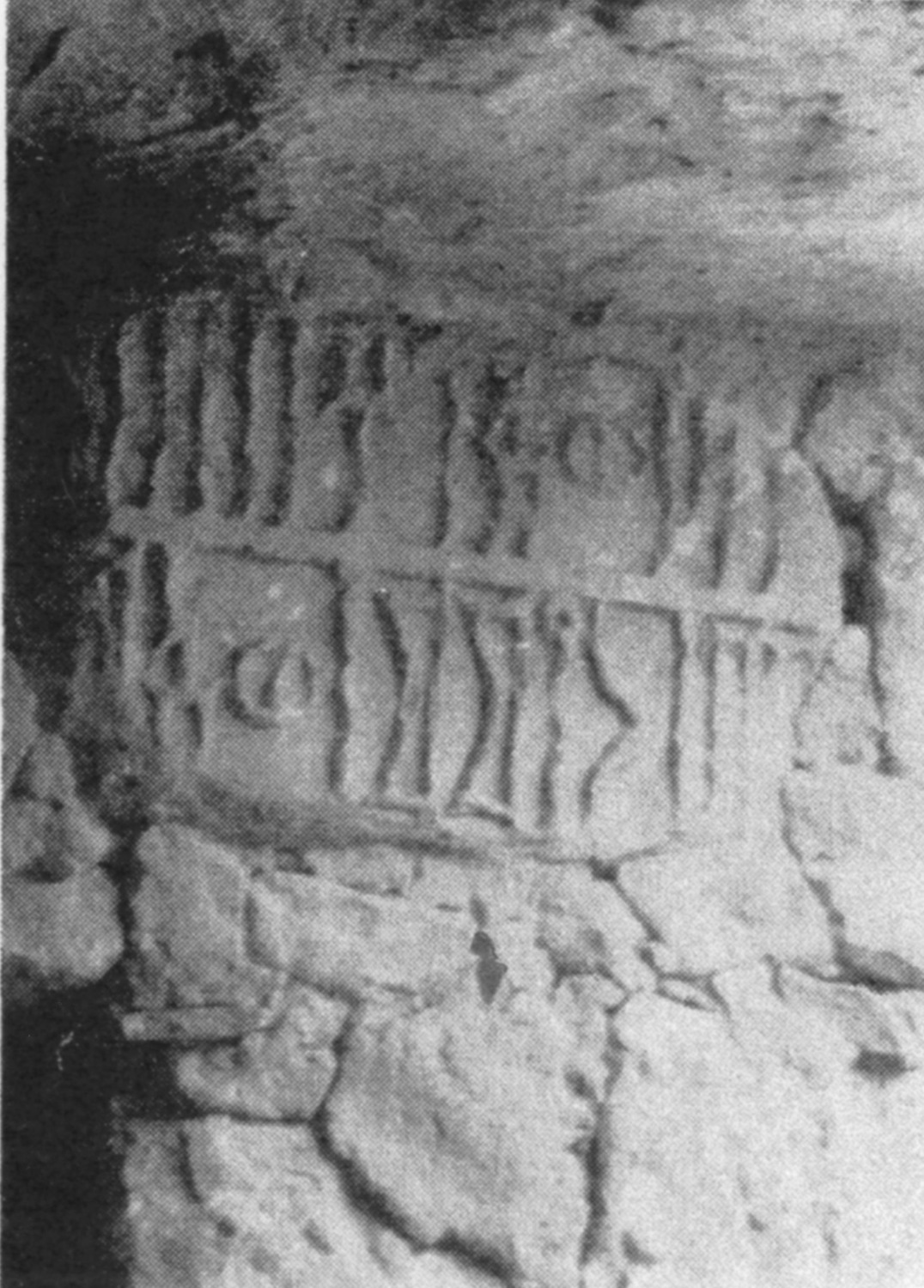 Garbini 1970 d: pl. 12/c Image free from copyright