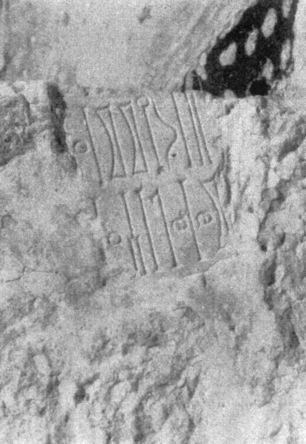 Garbini 1970 d: pl. 12/d Image free from copyright