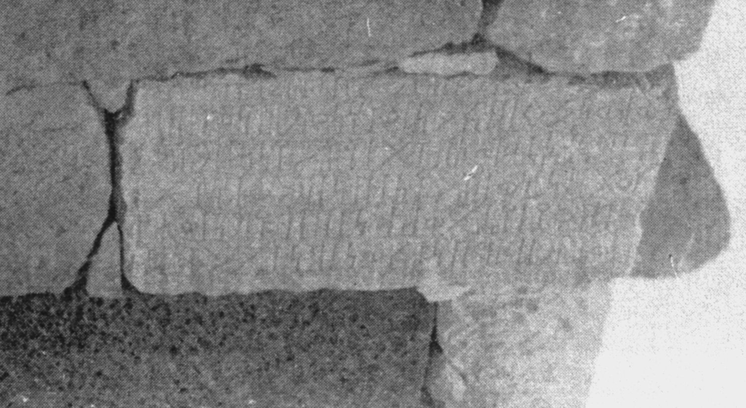 Garbini 1970 d: pl. 18/a Image free from copyright