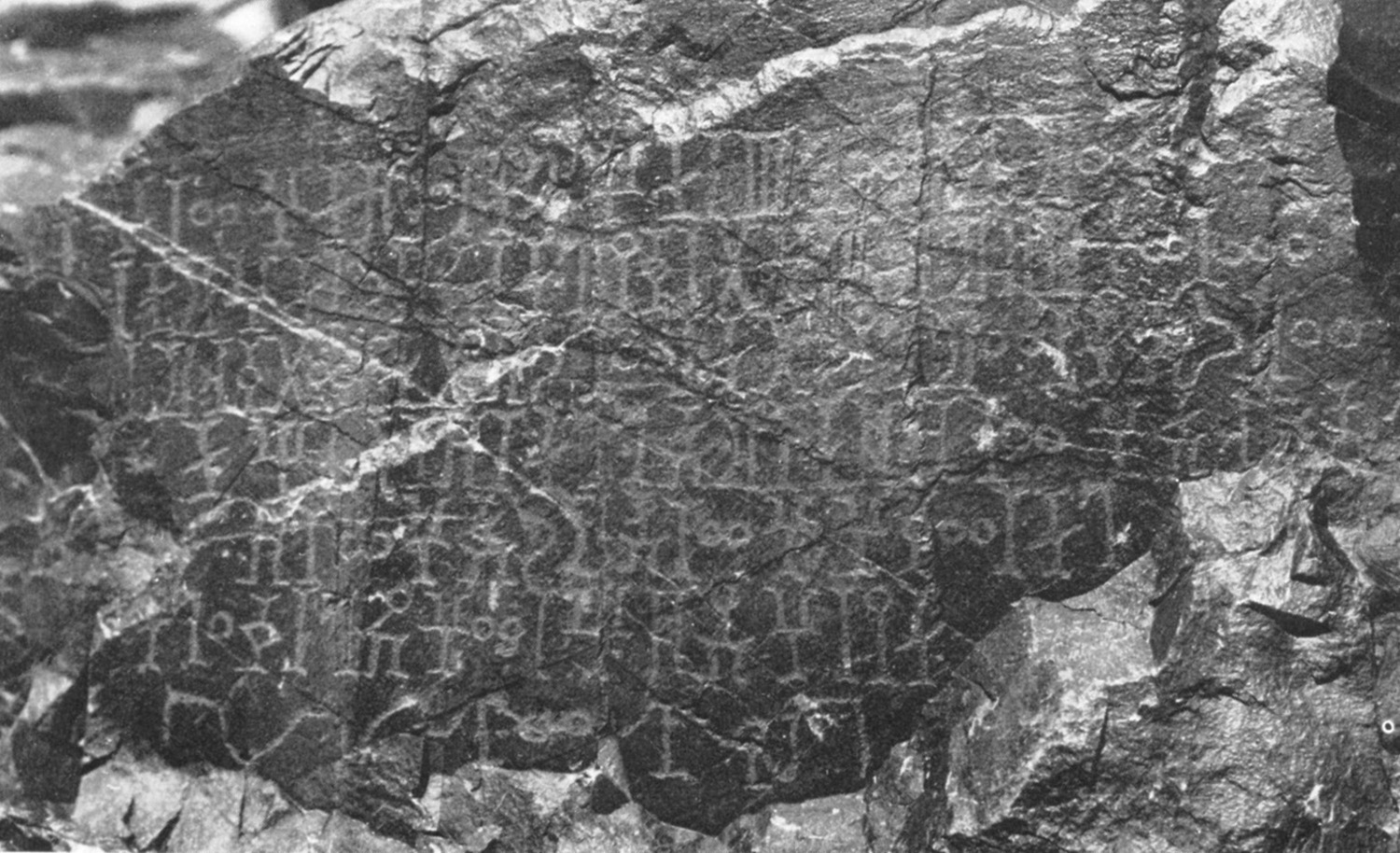 Doe 1971: pl. 75 Image free from copyright
