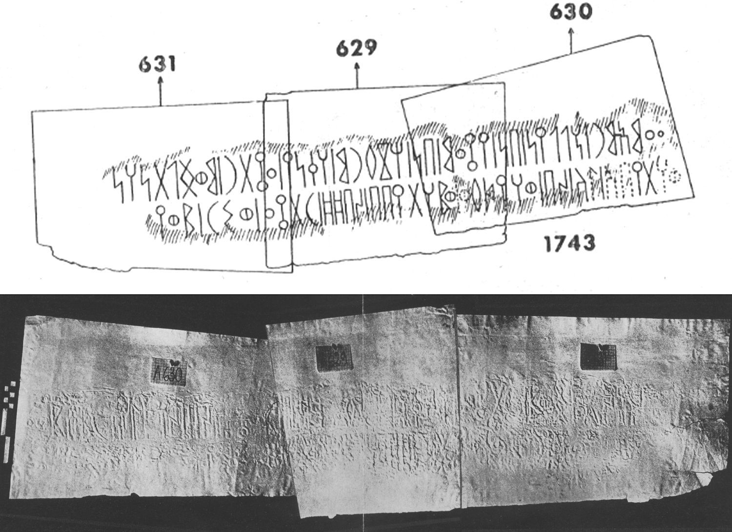 Lundin 1965: pl. XXV Image free from copyright