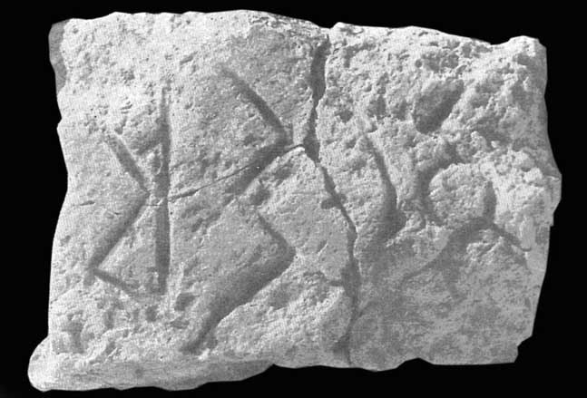 Piotrovskij 1995: fig. 15 Image free from copyright