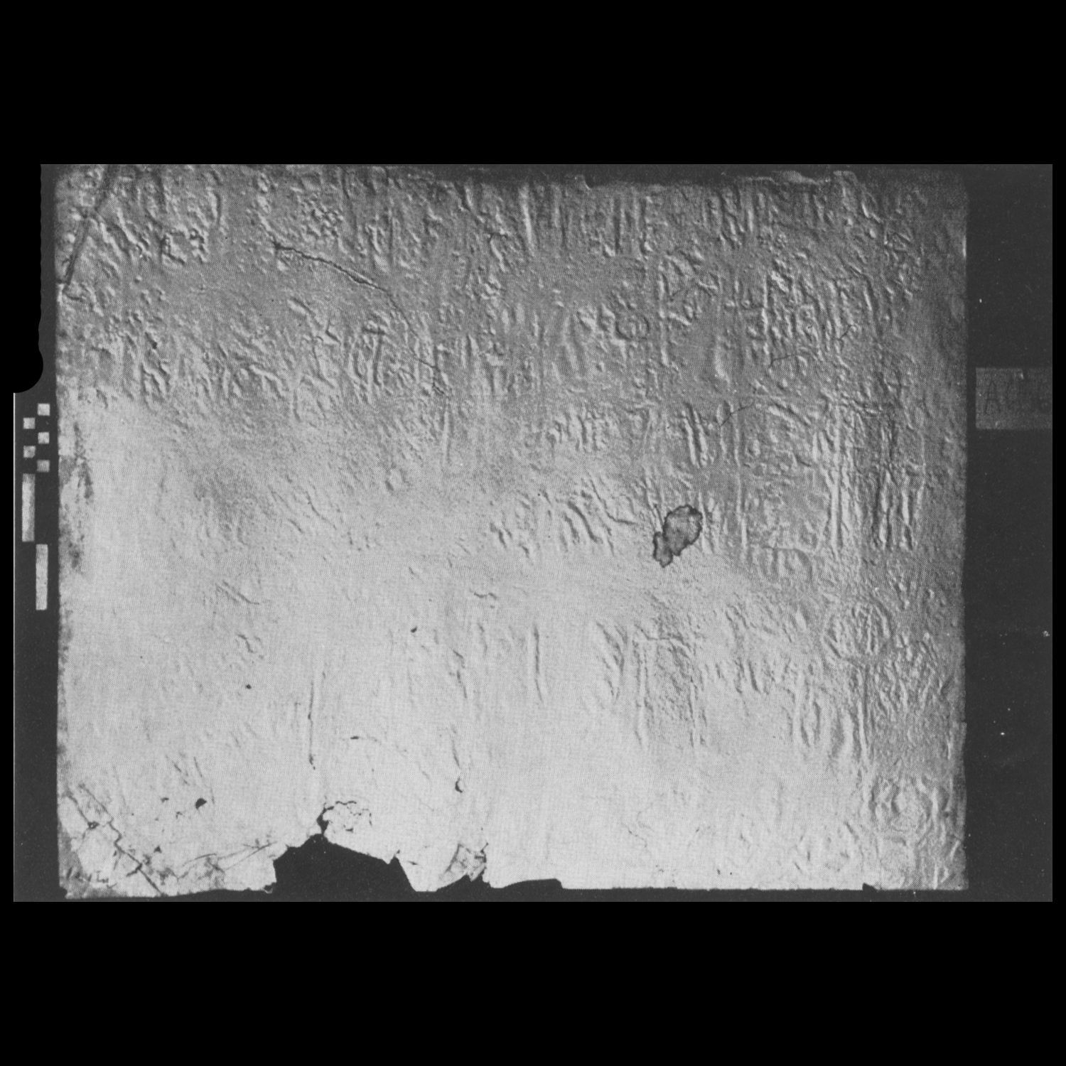 Lundin 1965: pl. XI/2 Image free from copyright