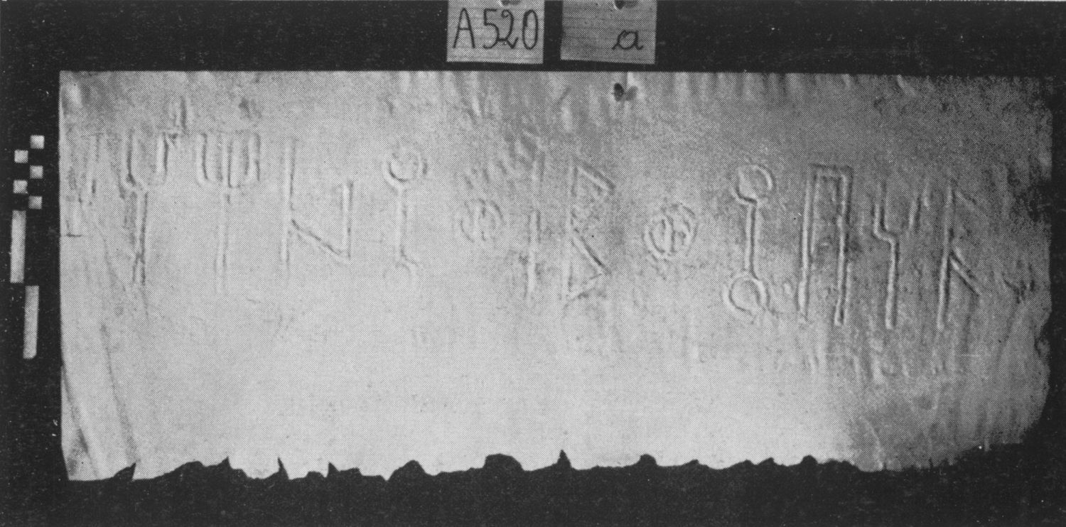 Tschinkowitz 1969: pl. VII Image free from copyright