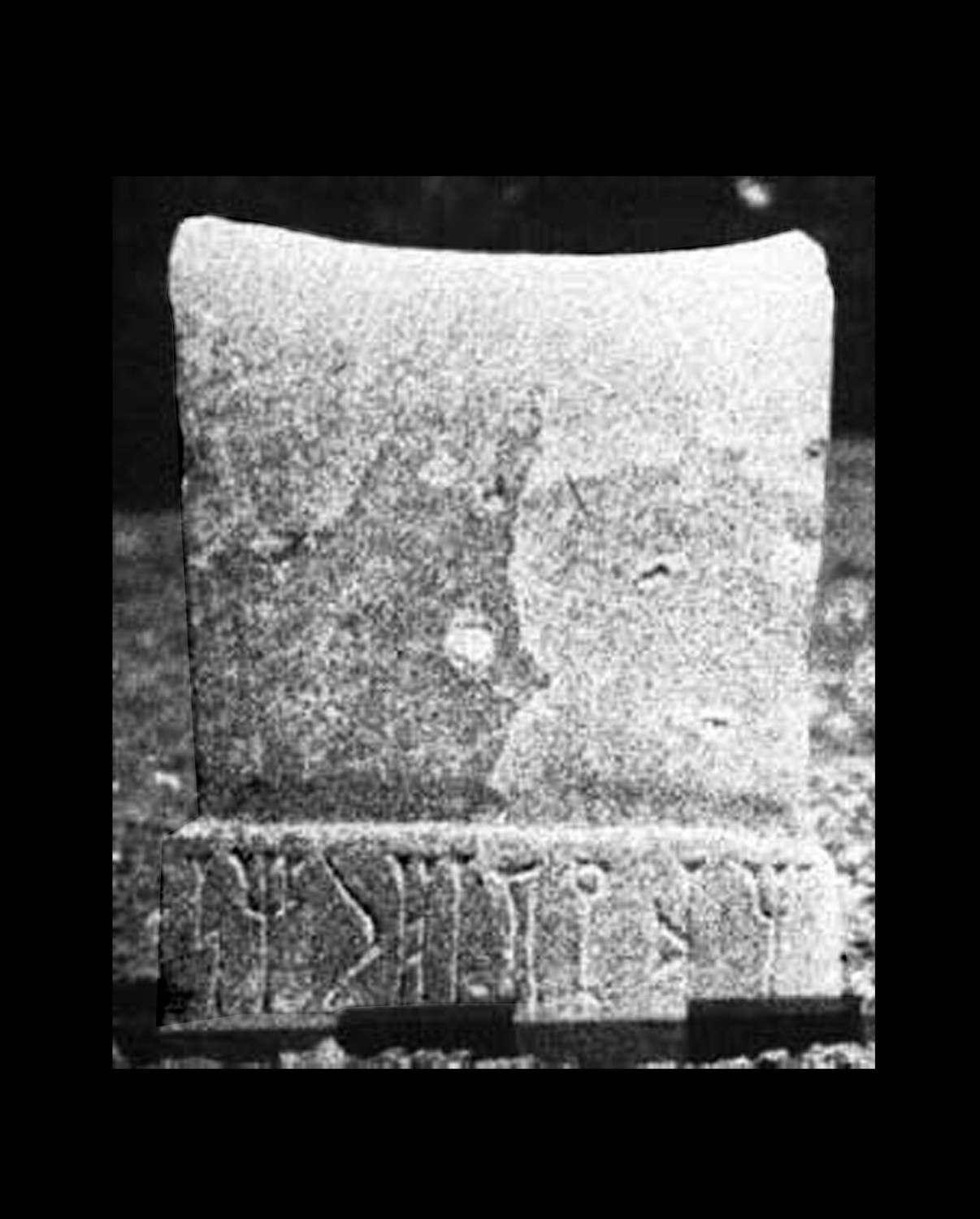 Honeyman 1962: 38, pl.2 Image free from copyright