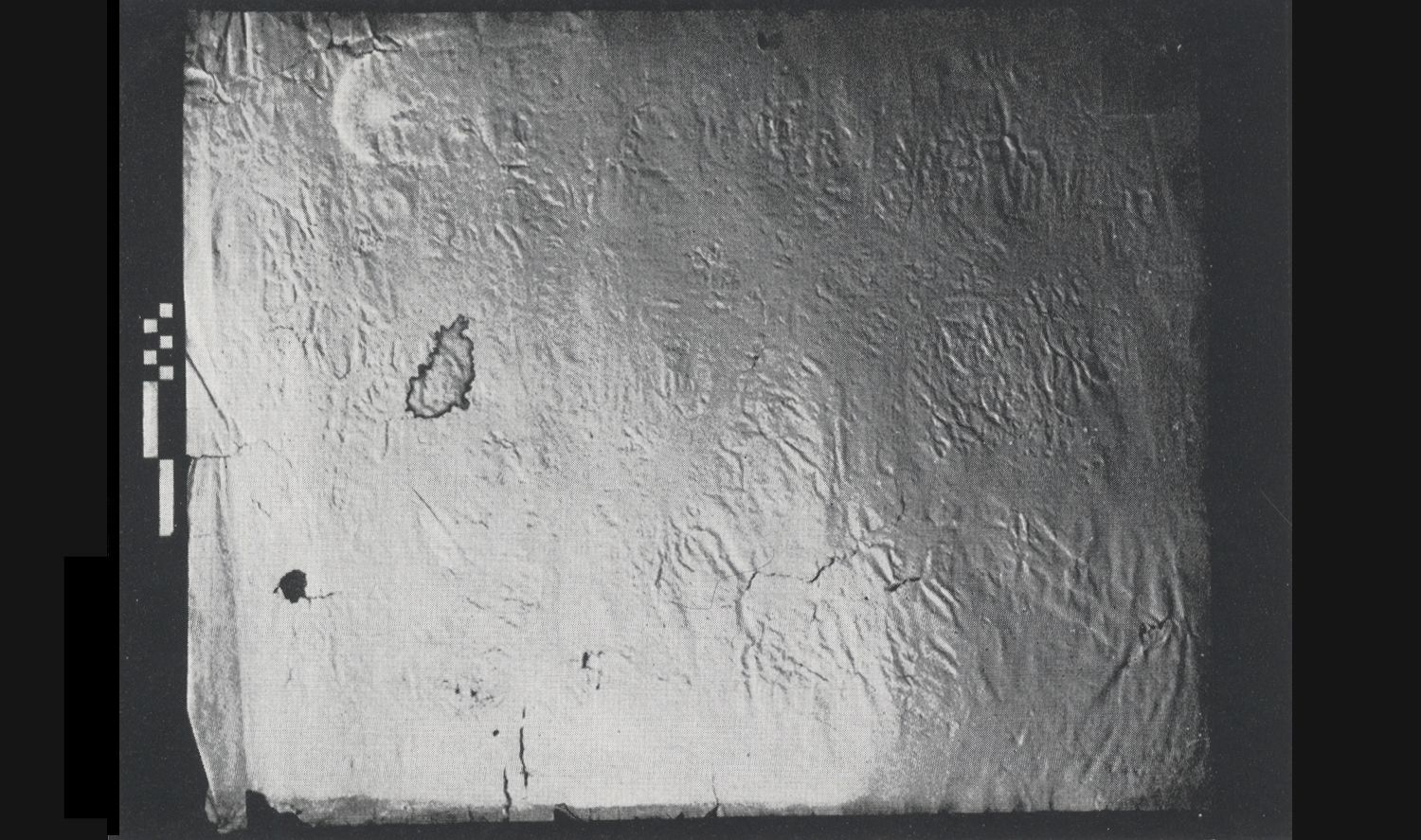 Lundin 1965: pl. X/1 Image free from copyright