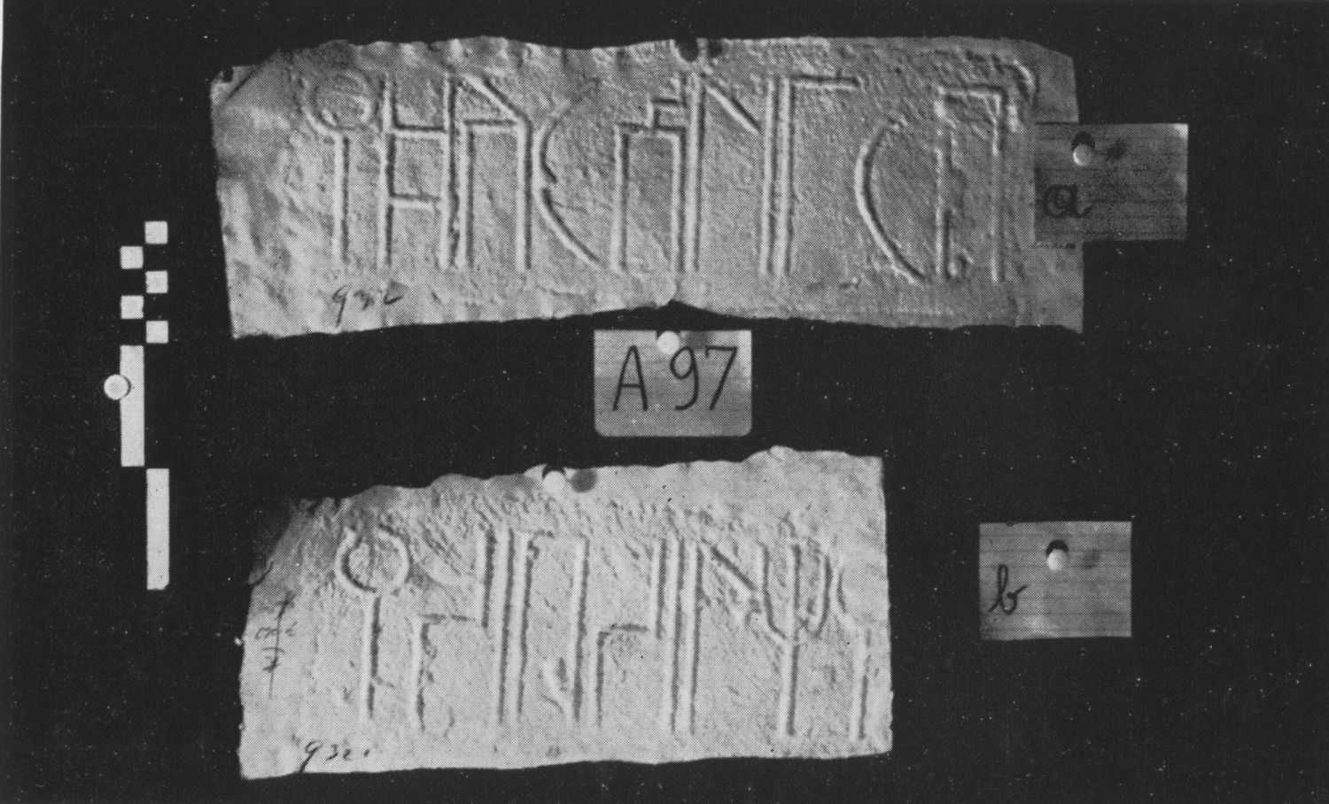 Tschinkowitz 1969: pl. I Image free from copyright