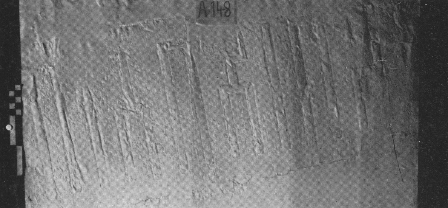 Tschinkowitz 1969: pl. II Image free from copyright