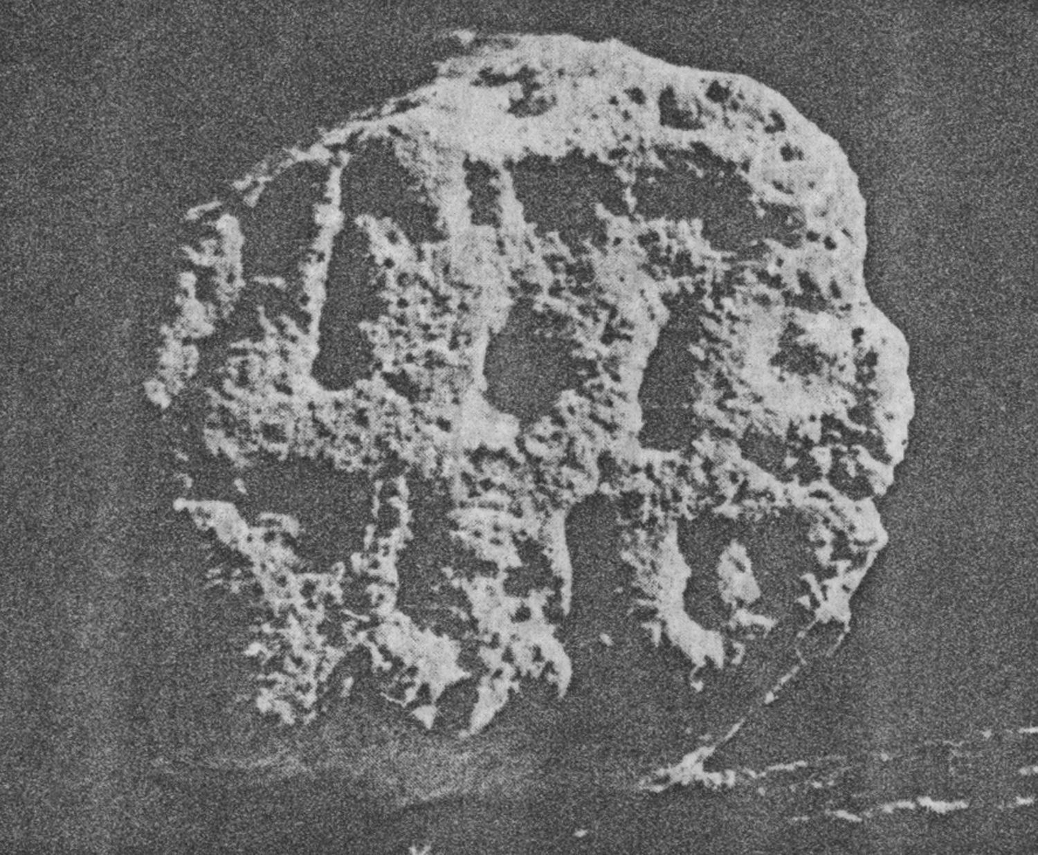 Jamme 1962 a: pl. 55 Image free from copyright