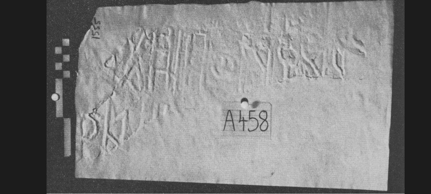 Höfner and Solá Solé 1961: pl. XIV/1 Image free from copyright