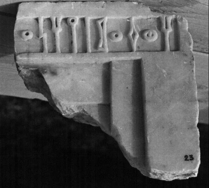 Avanzini et al. 1994: 18, pl. 4/1 Image free from copyright