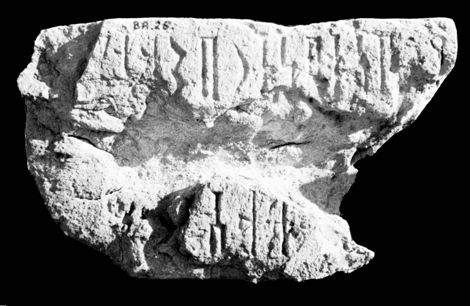 Pirenne 1979: 218, pl. XIII Image free from copyright