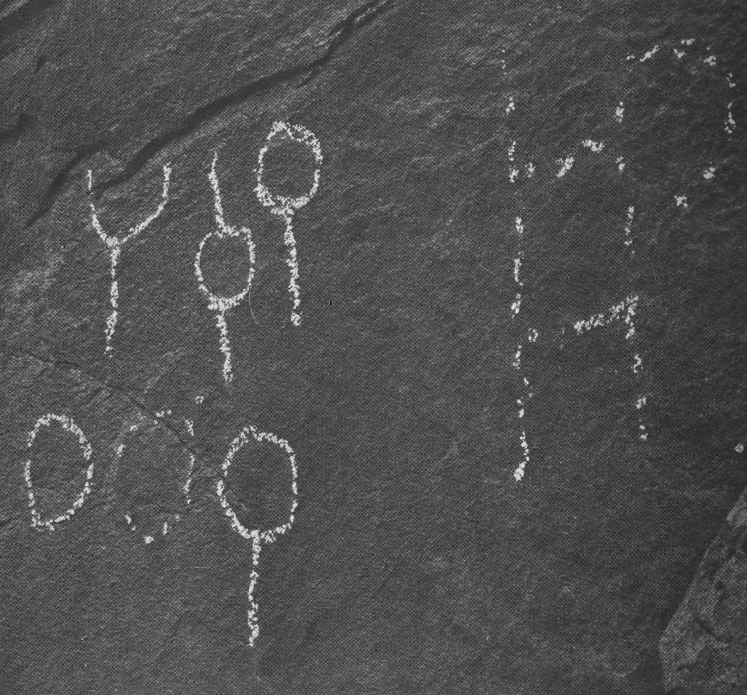 Garbini 1988: pl. 50/a Image free from copyright