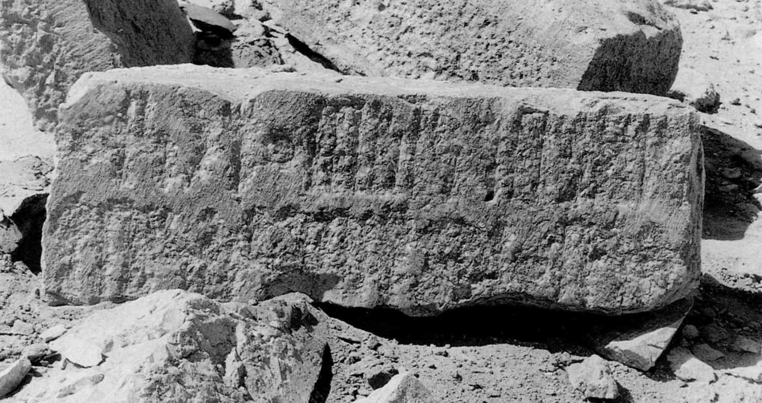 Avanzini 1995: pl.40/b Image free from copyright